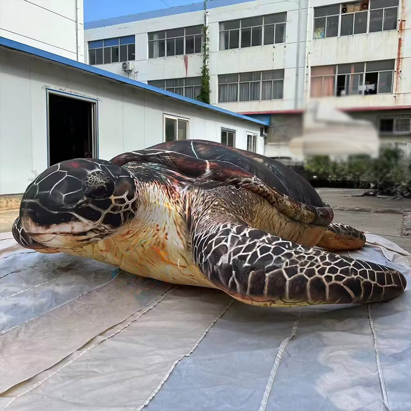 Inflatable sea turtles, Marine - Aquarium Marine Shop 评论和价格