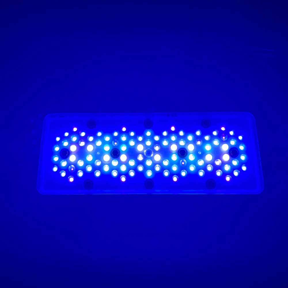 A8se A8PRO III BLUE 240W Marin - Aquarium Blue Marine Reef 评论和价格