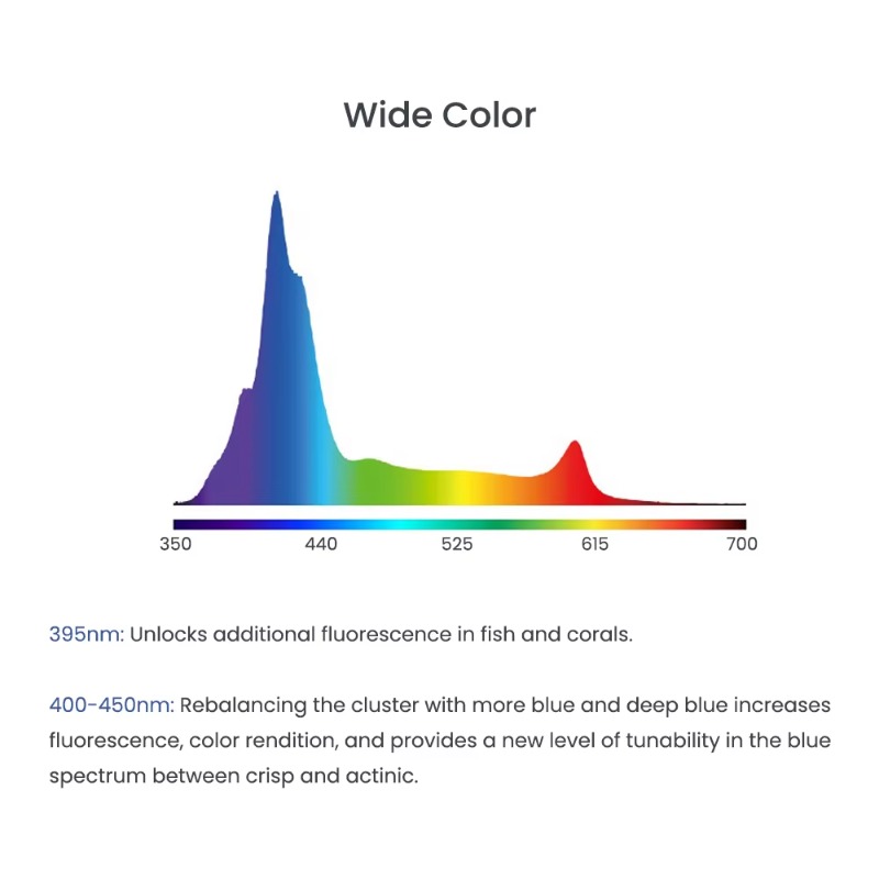 Blue 240W LEDs Full Spectrum W - Aquarium Blue Marine Reef 评论和价格