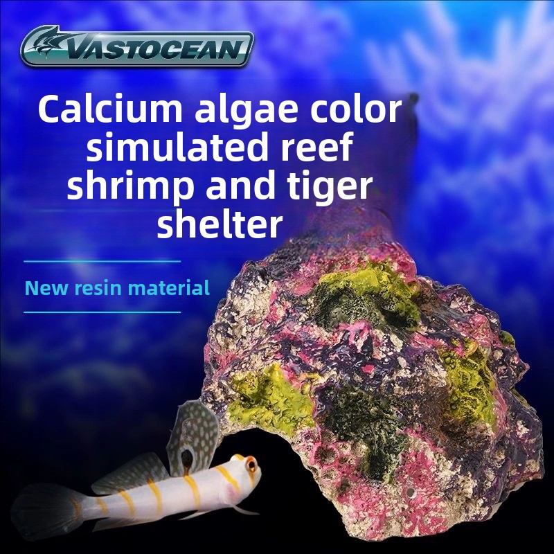 VASTOCEAN Saltwater Aquarium C - Marine Aquarium Hermit Crab 评论和价格