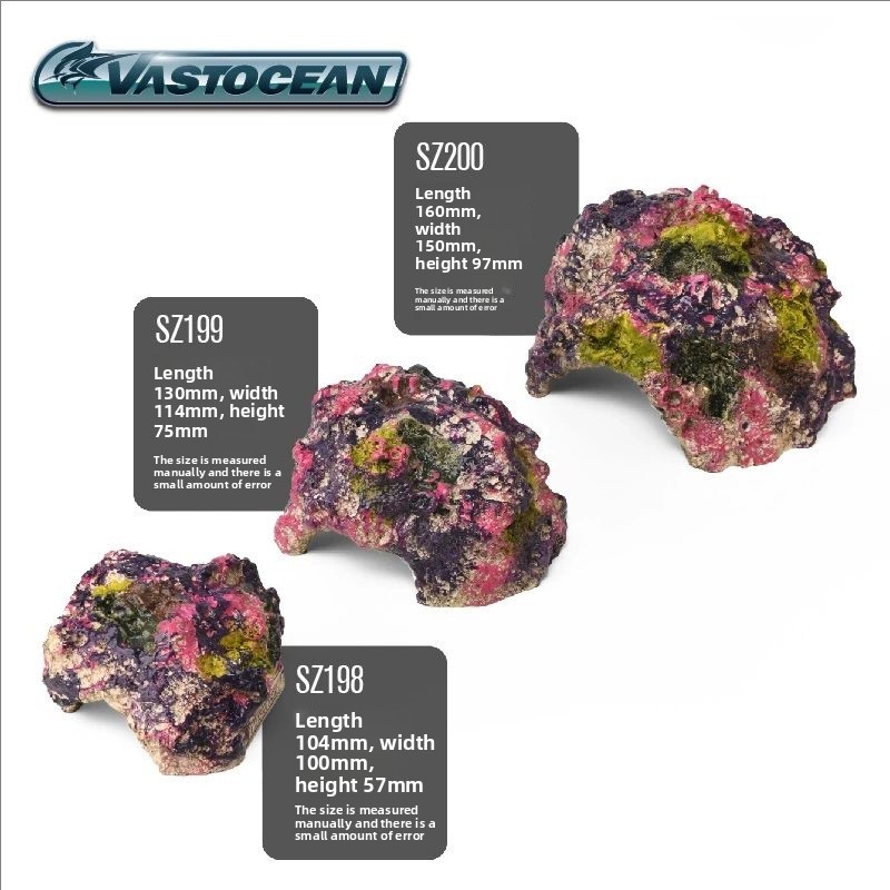VASTOCEAN Saltwater Aquarium C - Marine Aquarium Hermit Crab 评论和价格