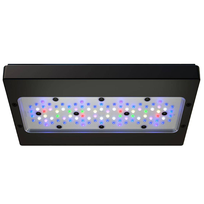Applicable to A8 PRO III Max a - Aquarium Blue Marine Reef 评论和价格