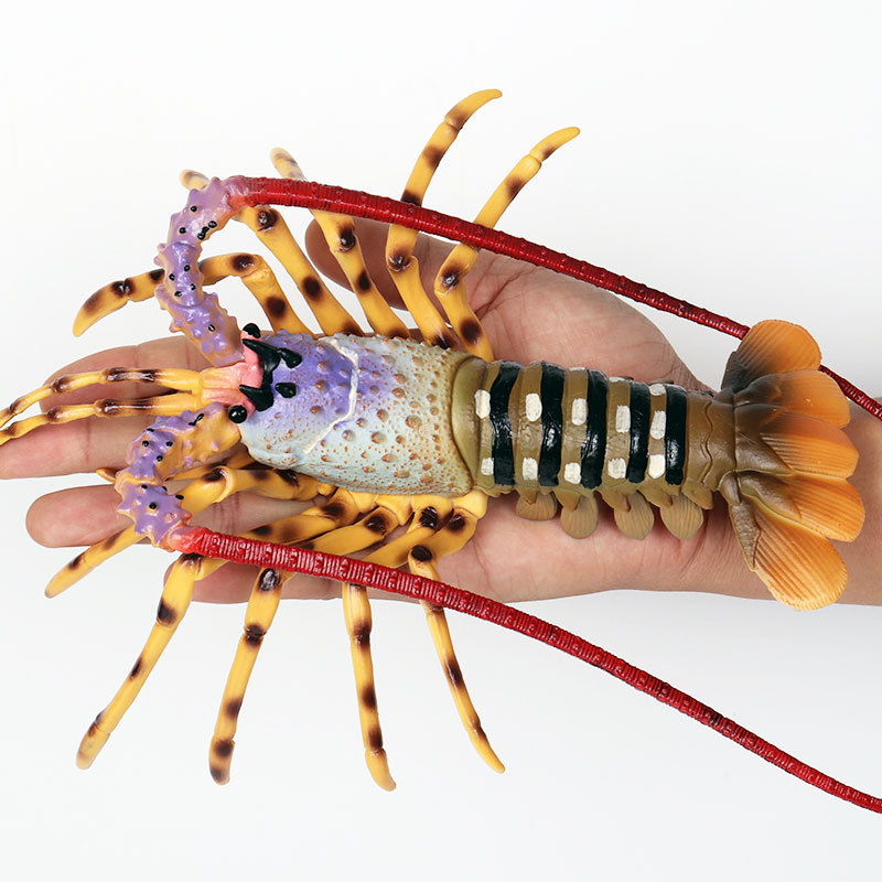 Realistic Marine Life Figurine - Marine Aquarium Hermit Crab 评论和价格