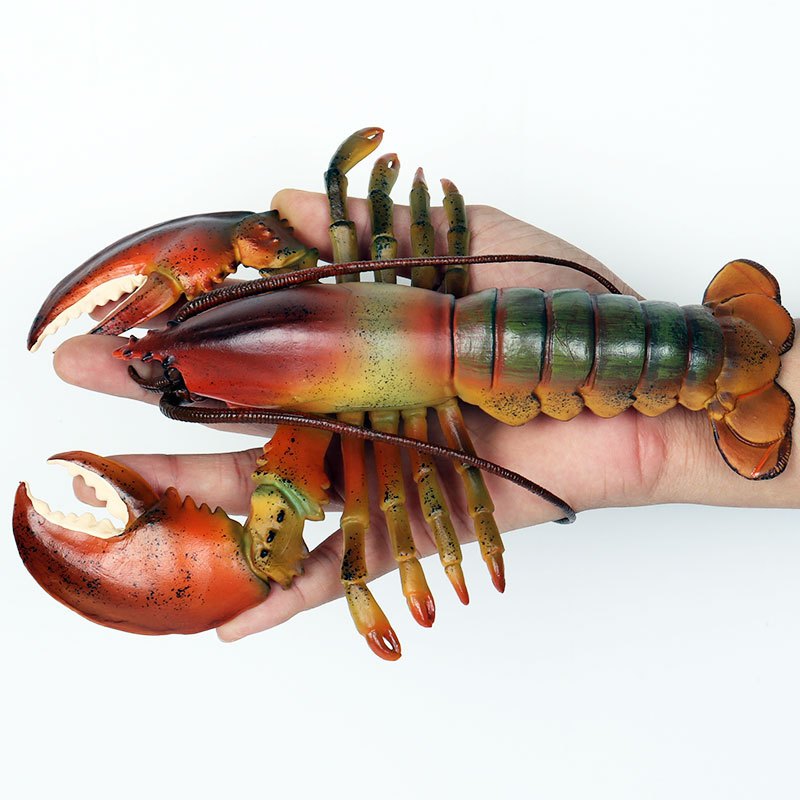 Realistic Marine Life Figurine - Marine Aquarium Hermit Crab 评论和价格